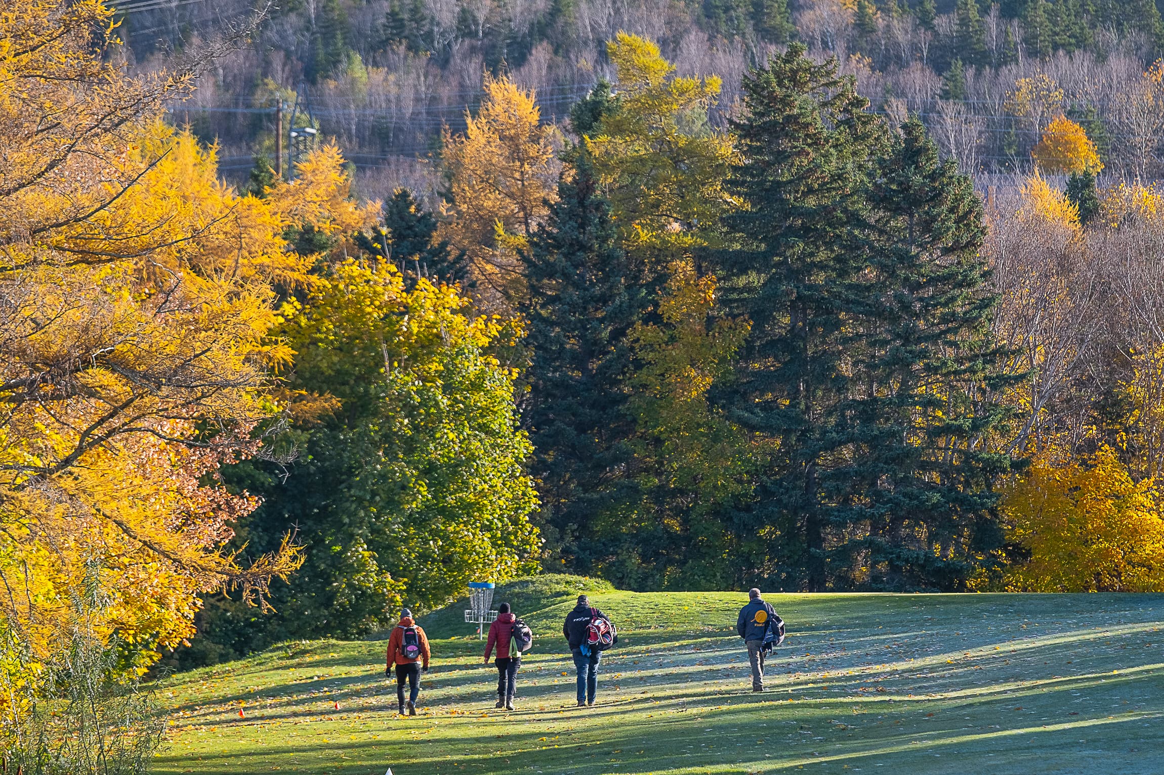 A shot of 4 disc golfers with the cliff of the Curry Climb in the background.